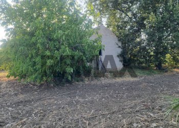 Giardino - Terreno edificabile Via del Sangro
42, Atessa - foto 5