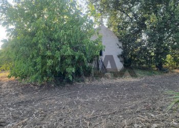 Giardino - Terreno edificabile Via del Sangro
42, Atessa - foto 6