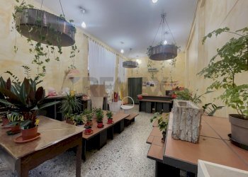 Soggiorno - Locale Commerciale Viale Cappuccini
96, Lanciano - foto 5