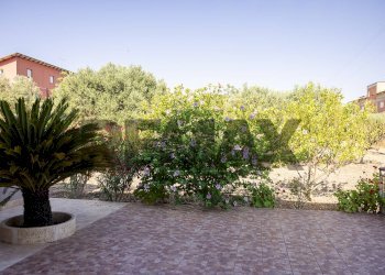 Giardino - Casa semi indipendente Contrada Piano Conte - S.P. 135
1, Sommatino - foto 12