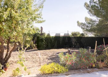 Giardino - Casa semi indipendente Contrada Piano Conte - S.P. 135
1, Sommatino - foto 14