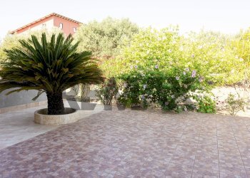 Terrazza - Casa semi indipendente Contrada Piano Conte - S.P. 135
1, Sommatino - foto 15
