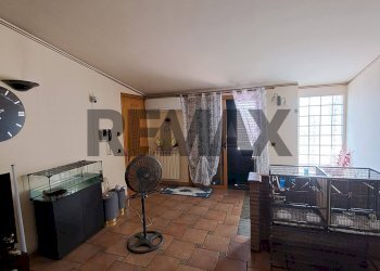 Soggiorno - Appartamento Via Vincenzo Monti
 
59 - 59A, Paterno - foto 41