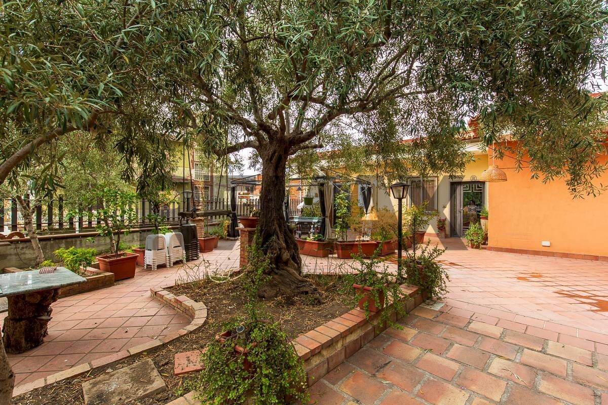 Giardino - Villa Via San Marco
69, Paterno - foto 2