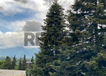Vista delle montagne - Appartamento Vicolo Uccellini
 
8, Arcevia - foto 24