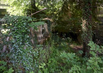 Giardino - Casa semi indipendente VIA VALLE
 
47, Bergamo - foto 19