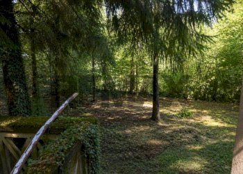 Giardino - Casa semi indipendente VIA VALLE
 
47, Bergamo - foto 23