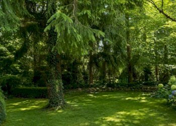 Giardino - Casa semi indipendente VIA VALLE
 
47, Bergamo - foto 26
