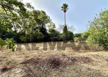 Giardino - Casa indipendente Viale porto torres
 
87, Sassari - foto 33