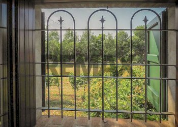 Giardino - Rustic via Ernesto Arduini
 
33, Cavriago - photo 50