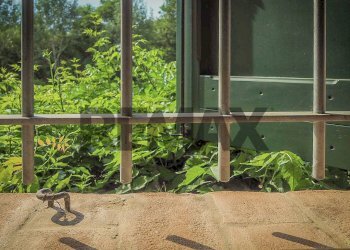 Giardino - Rustic via Ernesto Arduini
 
33, Cavriago - photo 65