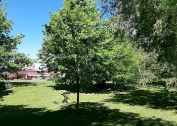 Giardino - Villa via dei geranei
14, Castelletto Sopra Ticino - photo 4