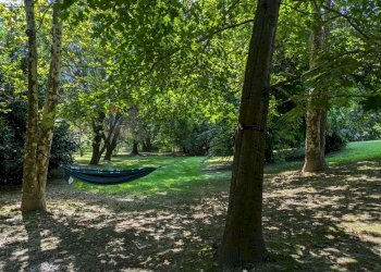 Giardino - Villa via dei geranei
14, Castelletto Sopra Ticino - photo 20