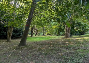 Giardino - Villa via dei geranei
14, Castelletto Sopra Ticino - photo 22