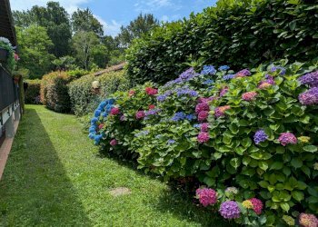 Giardino - Villa via dei geranei
14, Castelletto Sopra Ticino - photo 23