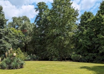 Giardino - Villa via dei geranei
14, Castelletto Sopra Ticino - photo 24