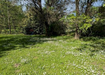 Giardino - Villa via dei geranei
14, Castelletto Sopra Ticino - photo 29