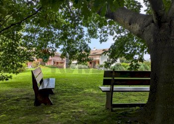 Giardino - Villa via dei geranei
14, Castelletto Sopra Ticino - photo 30