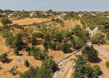 Vista delle montagne - Building land Strada Padula Cappa
-, Martina Franca - photo 4