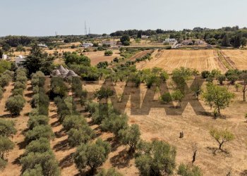 Non correlato - Building land Strada Padula Cappa
-, Martina Franca - photo 6