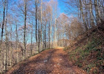 Foto immobile - Appartamento Via Musumeci, Leonforte - foto 7