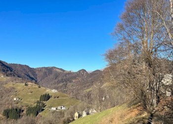 Foto immobile - Appartamento Via Musumeci, Leonforte - foto 8