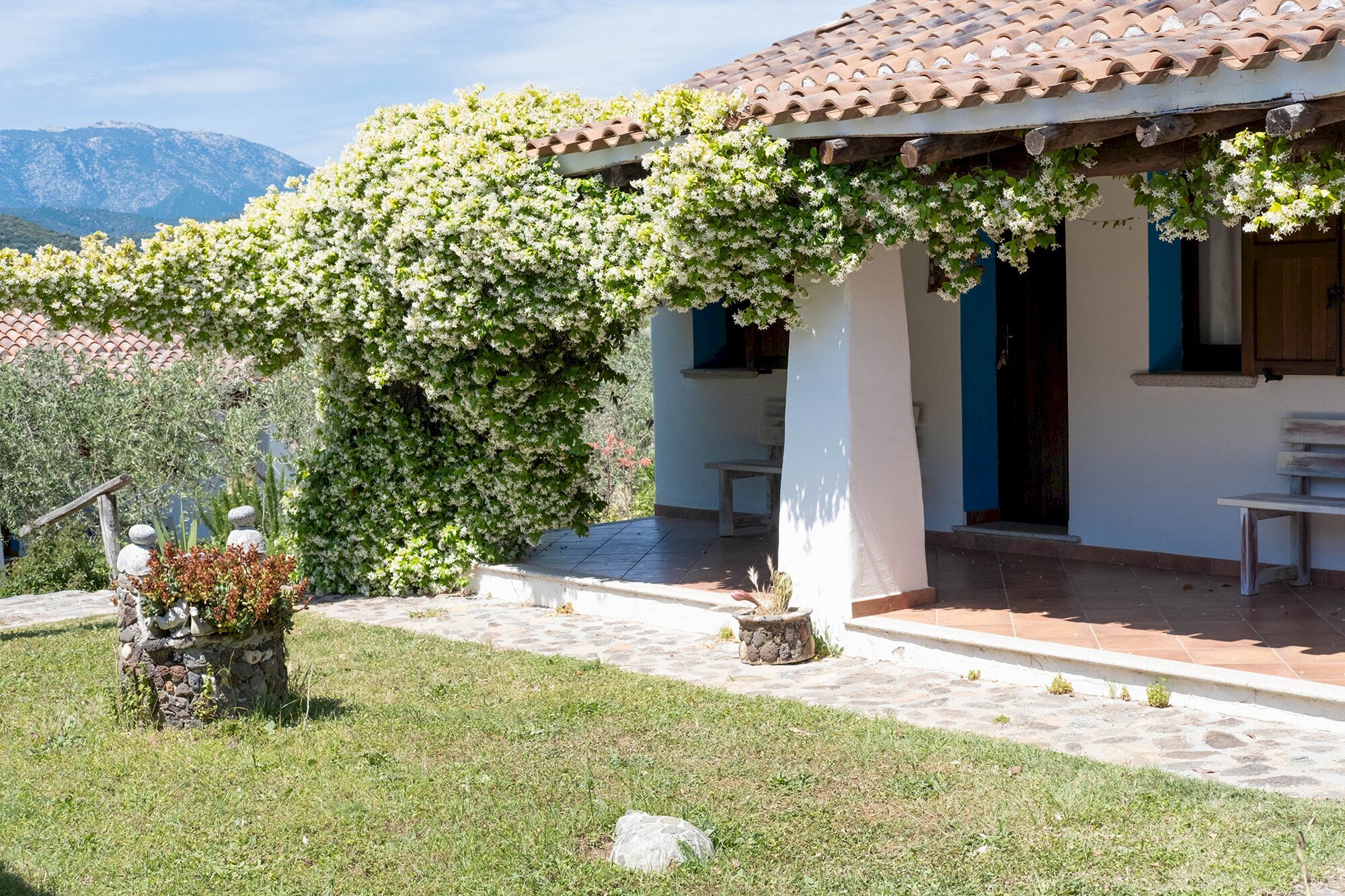 Rustic Nuorese, 115, Galtellì - photo 3