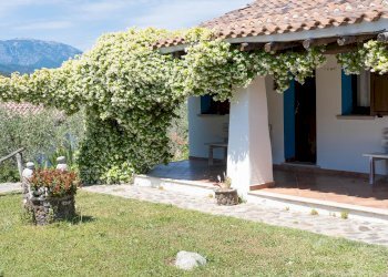 Rustic Nuorese, 115, Galtellì - photo 3
