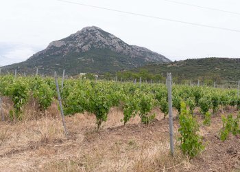 Rustic Nuorese, 115, Galtellì - photo 29