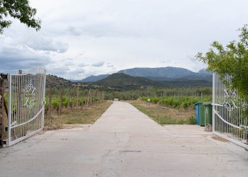 Rustic Nuorese, 115, Galtellì - photo 30