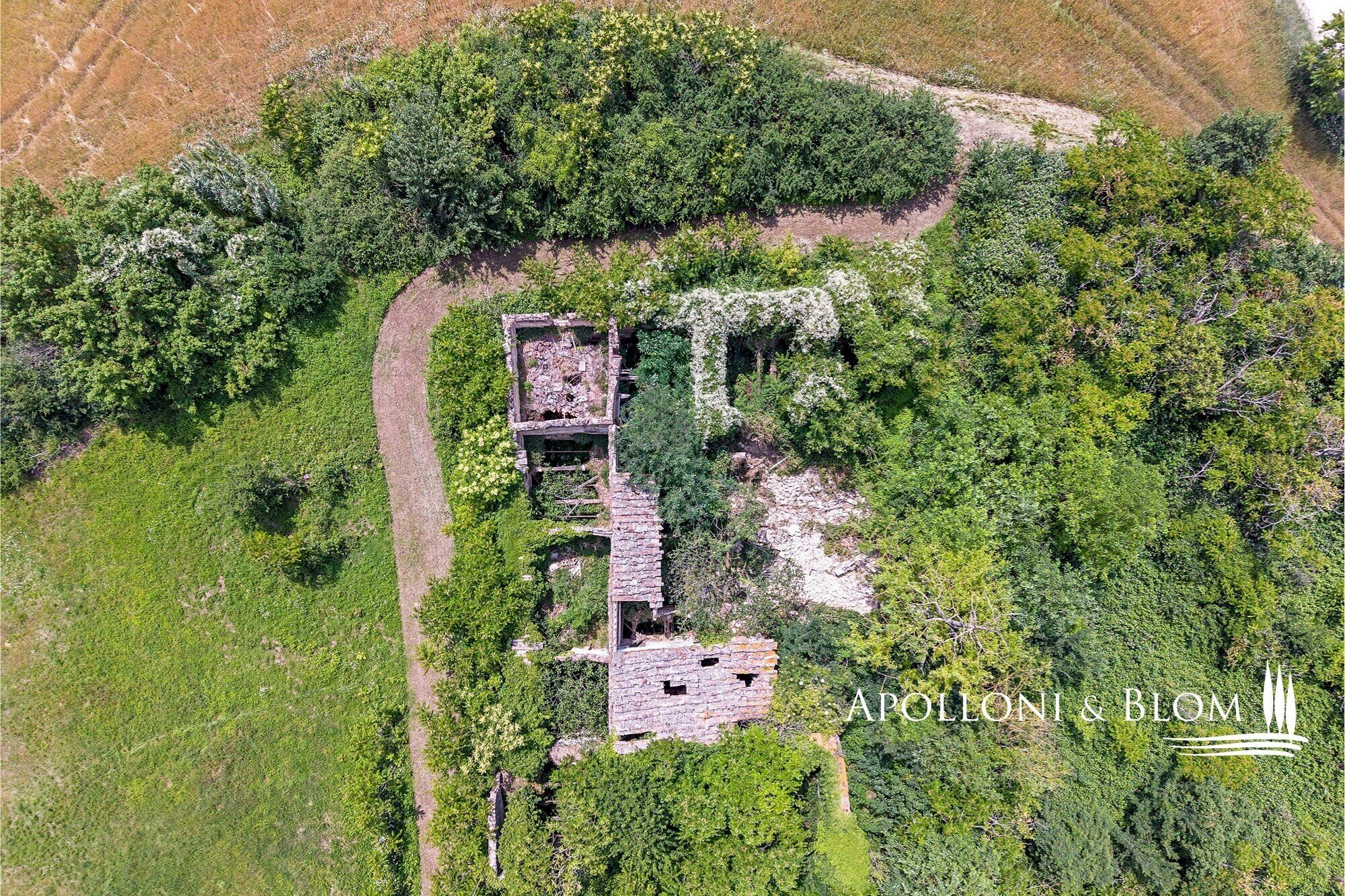Rustico Località Capezzano, 45, San Gimignano - foto 1