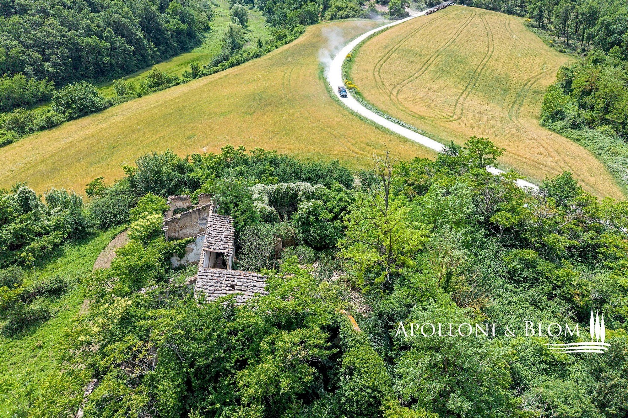 Rustico Località Capezzano, 45, San Gimignano - foto 2