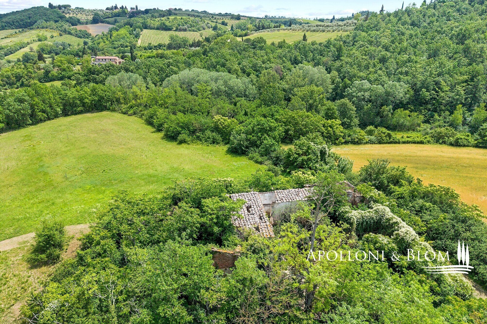 Rustico Località Capezzano, 45, San Gimignano - foto 3