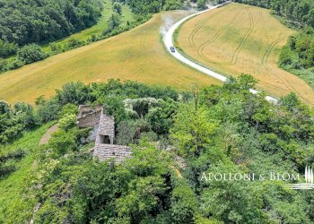 Rustic Località Capezzano, 45, San Gimignano - photo 2
