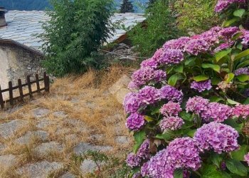 Casa semi indipendente Località Ronco Bianco, Chialamberto - foto 4