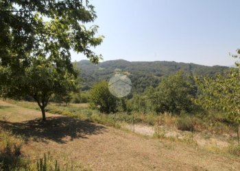 Casa semi indipendente Strada Perolungo, Lesignano de' Bagni - foto 43