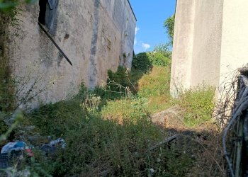 Foto 2 - Terreno edificabile sp 18, Montoro - foto 2