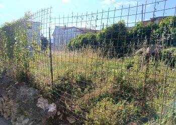 Foto 5 - Terreno edificabile sp 18, Montoro - foto 5