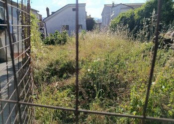 Foto 9 - Terreno edificabile sp 18, Montoro - foto 9