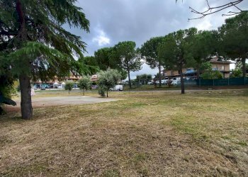 Foto 4 - Terreno edificabile Papa Giovanni XXIII, Grottazzolina - foto 4