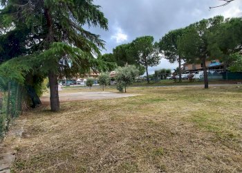 Foto 7 - Terreno edificabile Papa Giovanni XXIII, Grottazzolina - foto 7