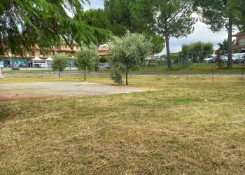 Foto 18 - Terreno edificabile Papa Giovanni XXIII, Grottazzolina - foto 18