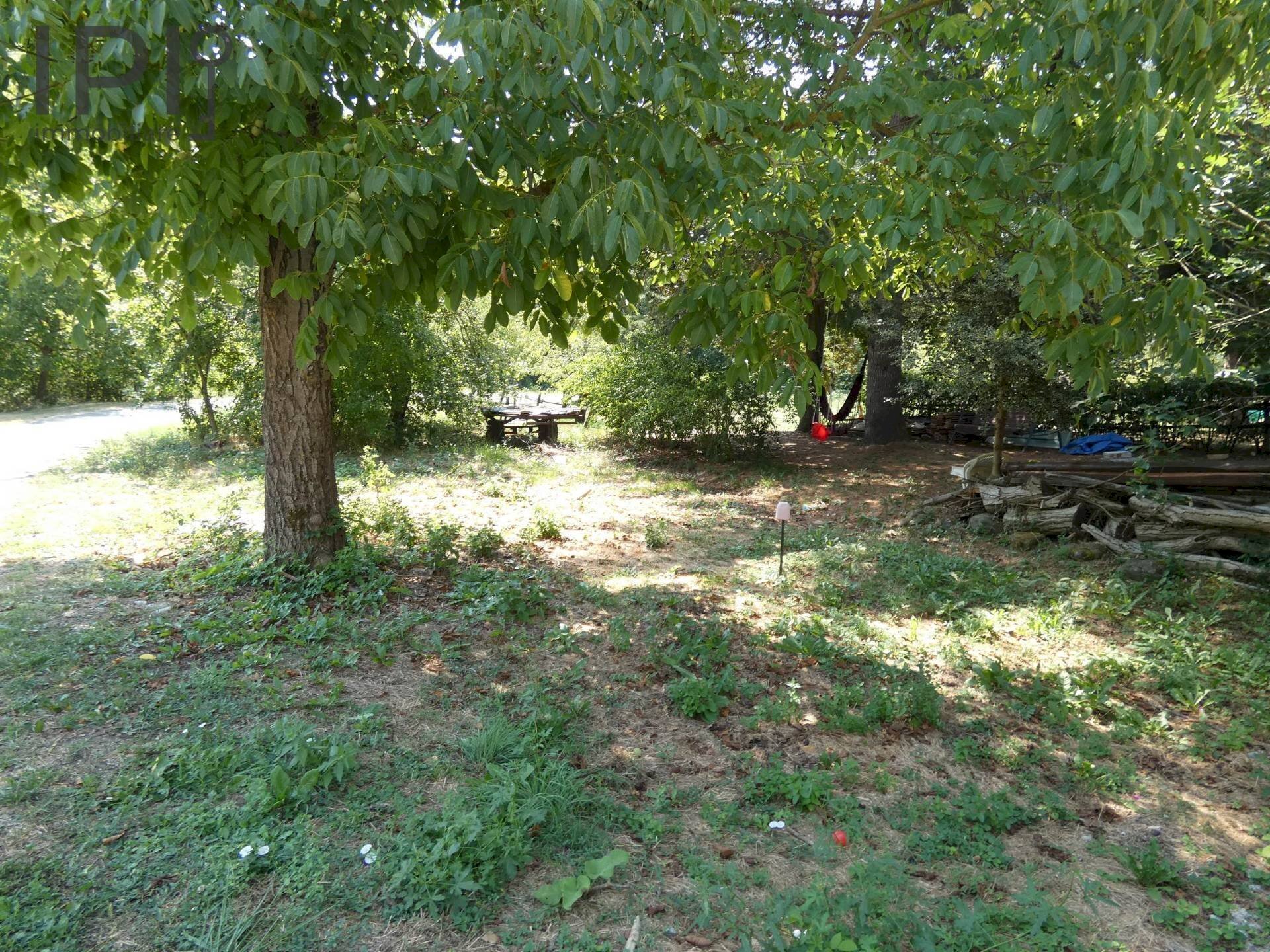 Foto 3 - Casa indipendente loc. Erche, Piana Crixia - foto 3