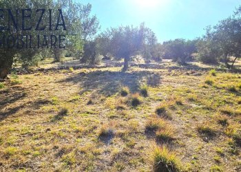 Foto 1 - Terreno edificabile via Enrico Ghezzi, Sciacca - foto 1
