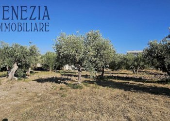 Foto 3 - Terreno edificabile via Enrico Ghezzi, Sciacca - foto 3