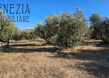 Foto 5 - Terreno edificabile via Enrico Ghezzi, Sciacca - foto 5