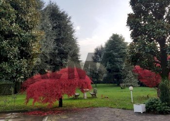 Giardino - Villa MAGELLANO
37, Cambiago - photo 10