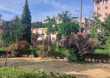 Giardino - Commercial Premises Piazza Alberigo Gentili
6, Palermo - photo 11