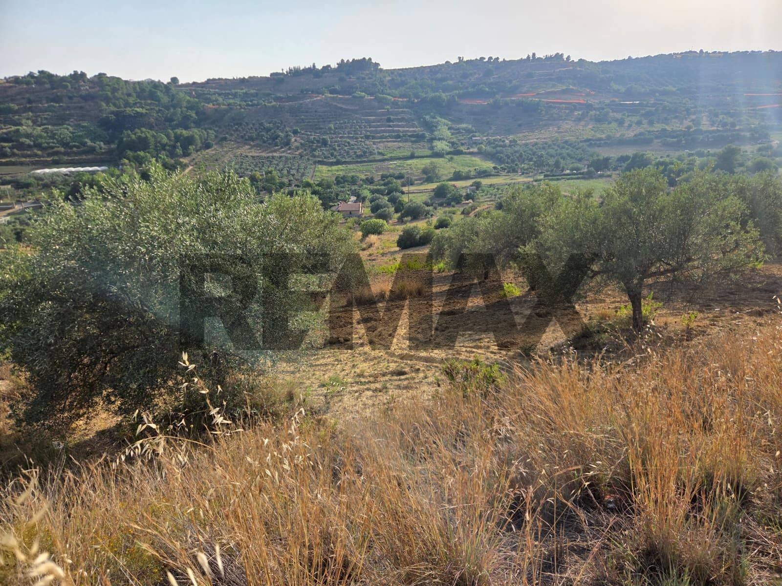 Vista delle montagne - Terreno agricolo Via San Nicolò le Canne
s.n.c., Caltagirone - foto 2