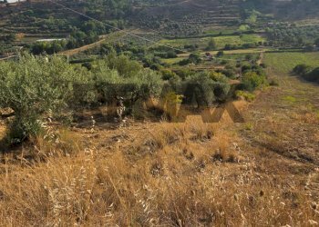 Vista delle montagne - Agricultural land Via San Nicolò le Canne
s.n.c., Caltagirone - photo 7